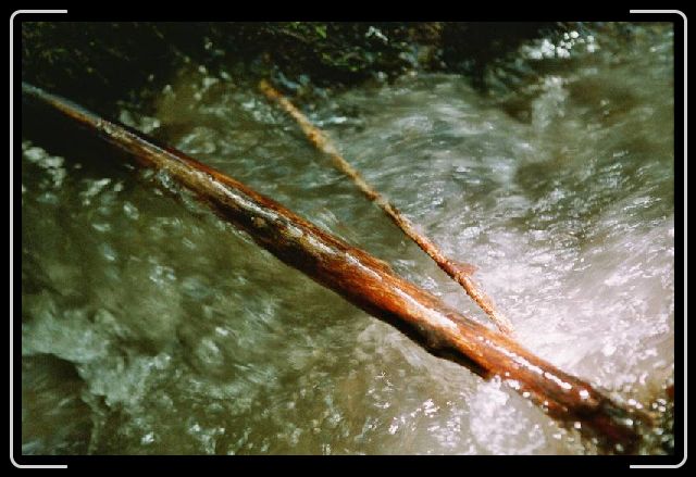 Tüüfelschilen im Tösstal