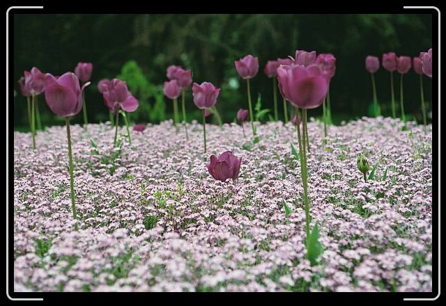 1.-Mai-Weekend im Burgund