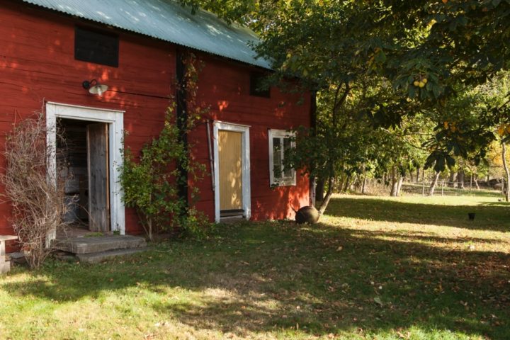 Herbst in Schweden – Skåne und Öland 2016